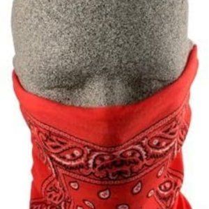 MOTLEY TUBE, 100% POLYESTER, RED PAISLEY